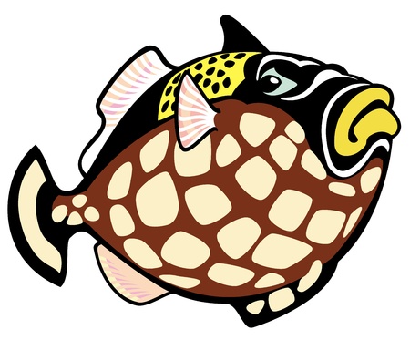 clown trigger fish,cartoon picture isolated on white background,vector illustration