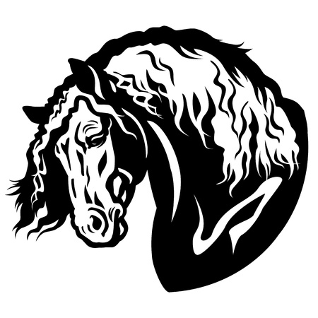 draft horse head black and white illustrationのイラスト素材