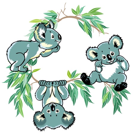 cartoon koala bears for little kids, children illustration isolated on white backgroundのイラスト素材