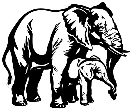 african elephant mother with baby black and white illustrationのイラスト素材