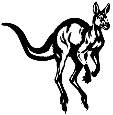 kangaroo black and white isolated imageのイラスト素材