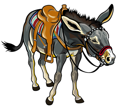 donkey with saddle illustration isolated on white backgroundのイラスト素材