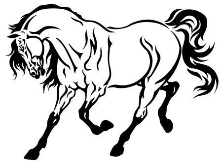 horse tattoo black and white illustrationのイラスト素材