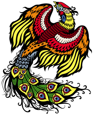 chinese phoenix feng huang isolated on white background のイラスト素材