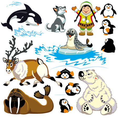 set with cartoon animals of arctic Isolated pictures for little kids のイラスト素材