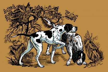 hunting dogs in forest, english pointer and setter breeds,illustration のイラスト素材