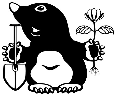 cartoon mole holding flower and shovel, black and white picture for little kidsのイラスト素材