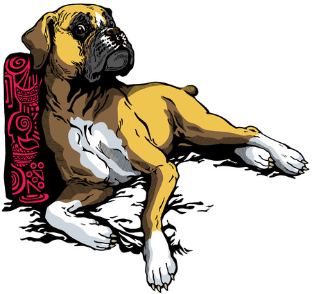 dog boxer breedのイラスト素材