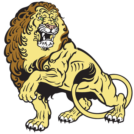 angry lion tattoo illustrationのイラスト素材