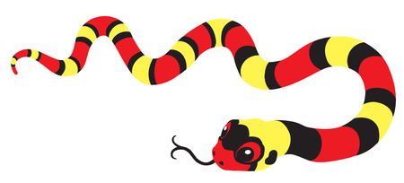 cartoon scarlet king-snake isolated on whiteのイラスト素材