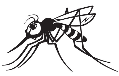 cartoon mosquito gnat .Black and white imageのイラスト素材