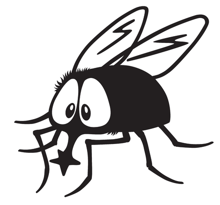Cartoon fly insect black and whiteのイラスト素材