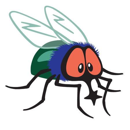 Cartoon fly insect isolated on whiteのイラスト素材