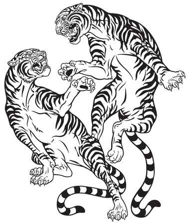 Tigers fighting, two roaring big cats in the battle. Black and white tattoo style vector illustration.のイラスト素材