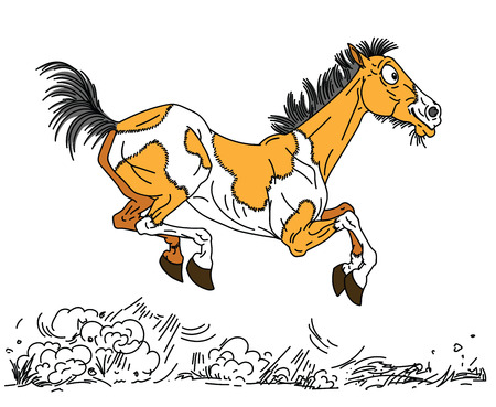 cartoon old horse . The happy aged pinto colored mare or mustang running free in the gallop . Side view vector illustrationのイラスト素材