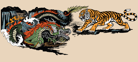 Green Chinese East Asian dragon versus tiger . Two spiritual creatures in the Buddhism representing the spirit heaven and matter earth. Graphic style vector illustrationのイラスト素材