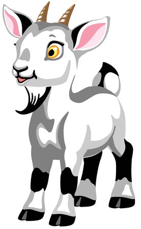 cartoon little white goat. Isolated vector illustration for babies and little kidsのイラスト素材