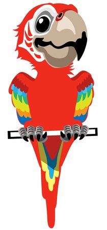 Cartoon red macaw parrot. Ara Ararauna. Vector illustration isolated on whiteのイラスト素材