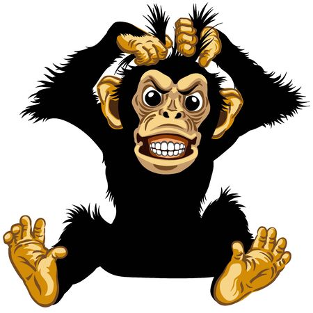 cartoon chimp or chimpanzee monkey pulls his fur hair out and showing his teeth. Angry or stressed emotion. Sitting pose in the front view. Isolated vector illustrationのイラスト素材