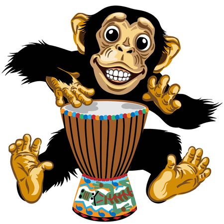 Cartoon monkey drummer. Happy chimp great ape or chimpanzee hands playing on the African ethnic percussion drum and smiling cheerful with a big smile on face showing teeth. Isolated vector illustrationのイラスト素材