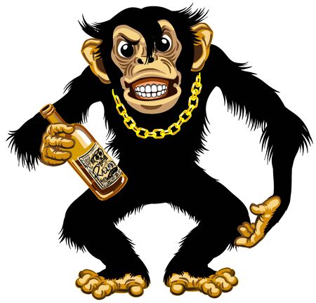 cartoon chimpanzee great ape with golden chain on the neck and holding empty bottle of rum. Aggressive chimp monkey after drinking alcohol. Standing dangerous pose. Isolated vector illustrationのイラスト素材