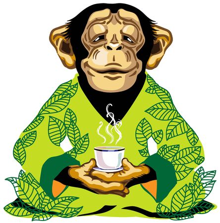 cartoon chimp great ape or chimpanzee monkey wearing kimono robe with green tea leaves, sitting in lotus yoga pose and holding a cup of tea. Spiritual harmony and peaceful emotion. Front view. Isolated vector illustrationのイラスト素材