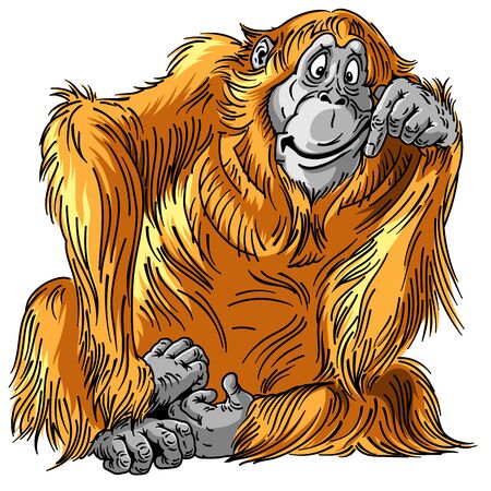 cartoon orangutan great ape. Sitting orange big monkey. Adult male. Isolated vector illustrationのイラスト素材