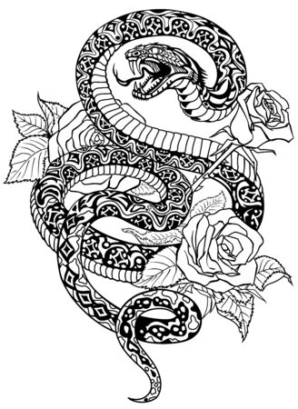 snake coiled round the roses. Angry dangerous serpent and flowers.Black and white Tattoo style or t-shirt design vector illustrationのイラスト素材