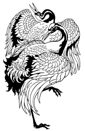 Japanese crane. Dancing two birds. Black and white tattoo. Vector illustrationのイラスト素材