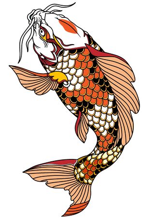 red white Japanese koi carp fish swimming up. Tattoo. Isolated vector illustrationのイラスト素材