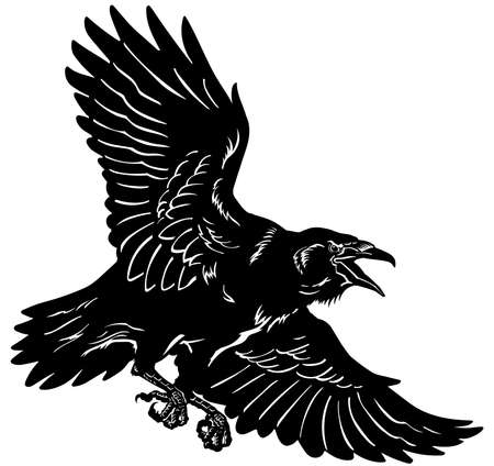 A raven in flight. Flying black bird. Hand drawn crow. Tattoo. Isolated vector illustrationのイラスト素材