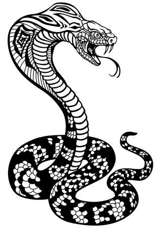 Cobra poisonous snake in a defensive position. Attacking posture.のイラスト素材