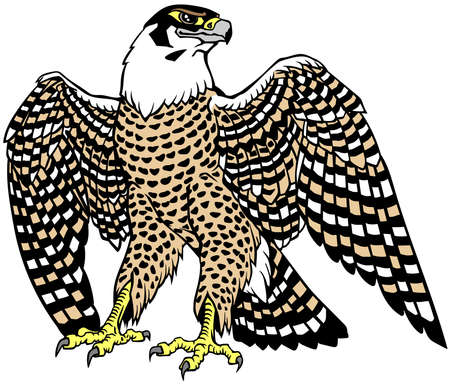 Ffalcon a hunter with opened its wings.のイラスト素材