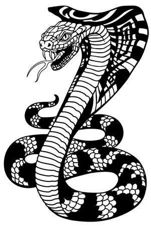 Cobra poisonous snake in a defensive position. Attacking posture.のイラスト素材