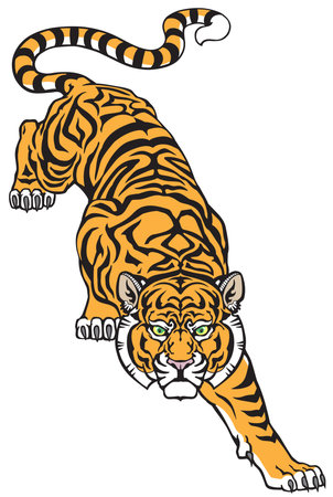 Tiger climbing down and Big cat eyes looking straight. Isolated front view image. Tattoo style vector illustrationのイラスト素材