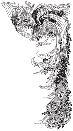 Chinese phoenix or Feng Huang Fenghuang mythological bird. One of celestial feng shui animals. Graphic style vector illustration. Black and whiteのイラスト素材