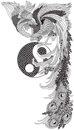 Chinese phoenix or Feng Huang Fenghuang mythological bird and Yin Yang symbol. One of celestial feng shui animals. Graphic style vector illustration. Black and whiteのイラスト素材
