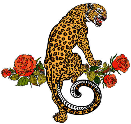 Roaring leopard climbing up and blooming roses. Angry spotted panther. Tattoo style vector illustration isolated on whiteのイラスト素材