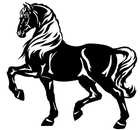 walking horse. Black heavy draft stallion in the profile. Silhouette. Side view vector illustrationのイラスト素材