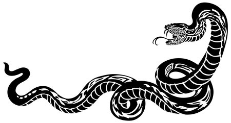 poisonous snake in a defensive position. Attacking posture. Silhouette. Black and white tattoo style vector illustrationのイラスト素材