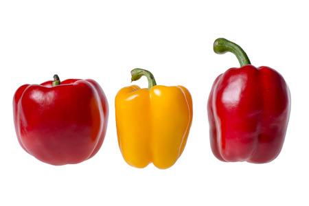 colored peppers over white backgroundの写真素材