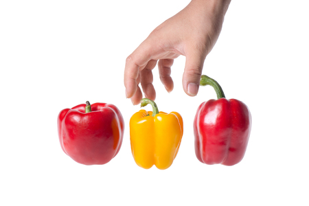 colored peppers and a hand over white backgroundの写真素材