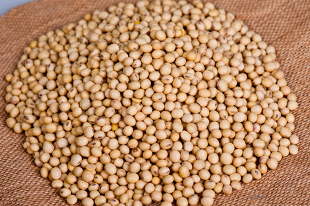 SOY BEANの写真素材