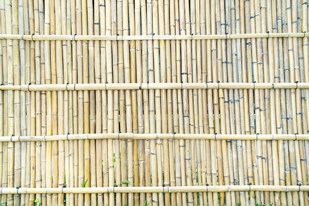 bamboo wallの写真素材