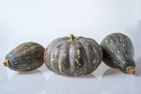 Pumpkin isolated on white background.の写真素材