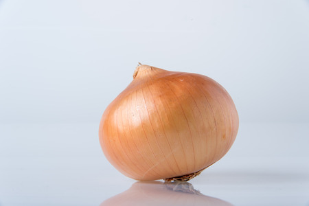 fresh onions on white backgroundの写真素材