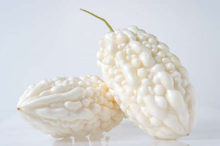 bitters isolated on white backgroundの写真素材