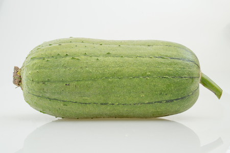fresh loofah on white backgroundの写真素材
