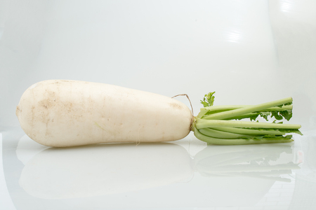 Radishes on white backgroundの写真素材