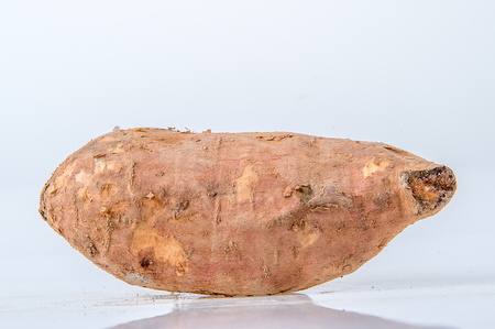 Sweet potato isolated on white backgroundの写真素材
